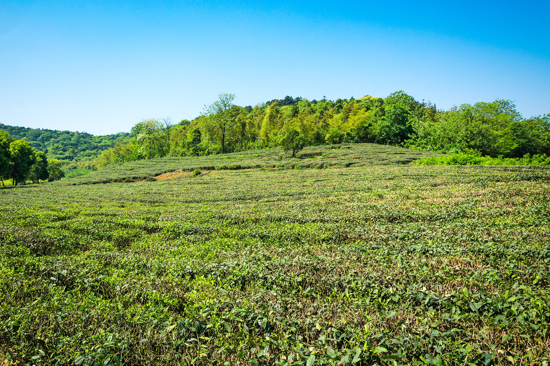 Terrain de 850m2 a vendre zone résidentielle