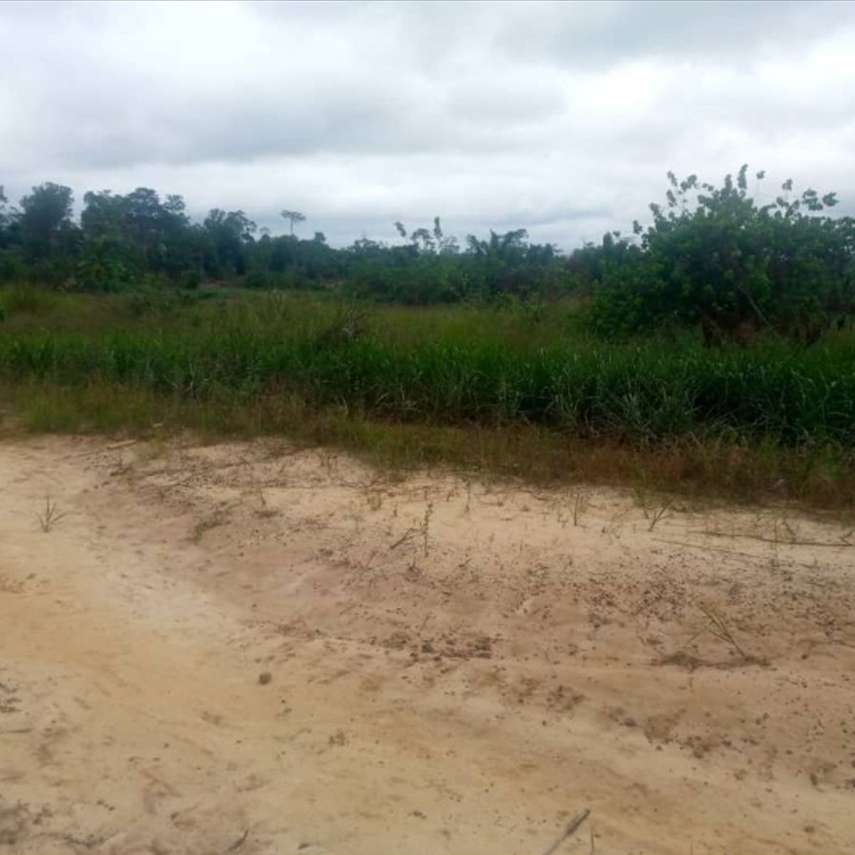 Terrain 1000 m² zone Akouango pavé
