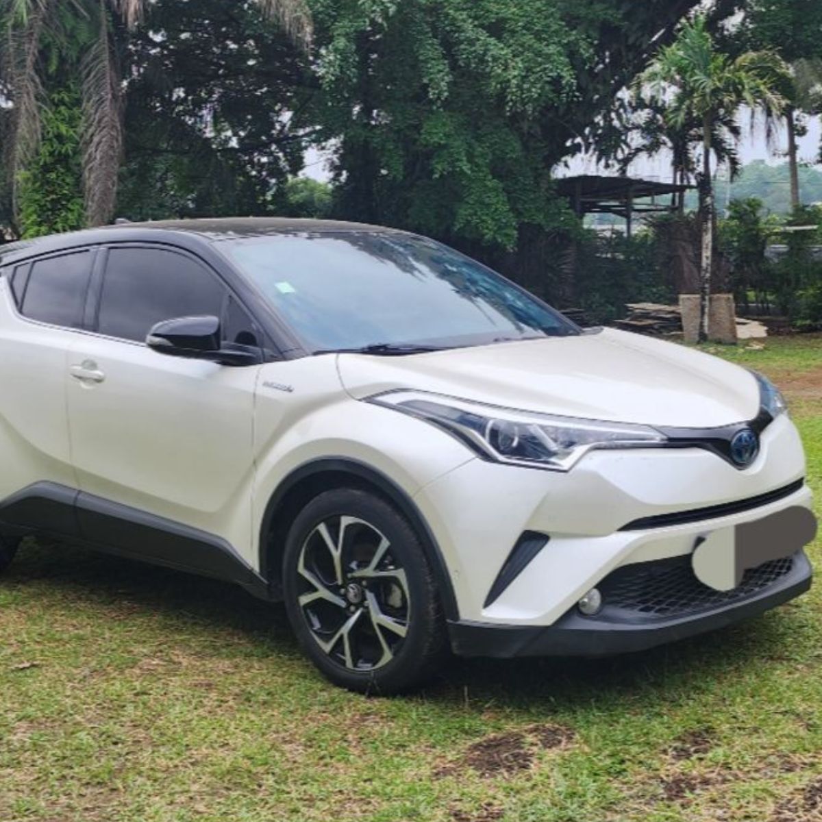 TOYOTA Chr 2019