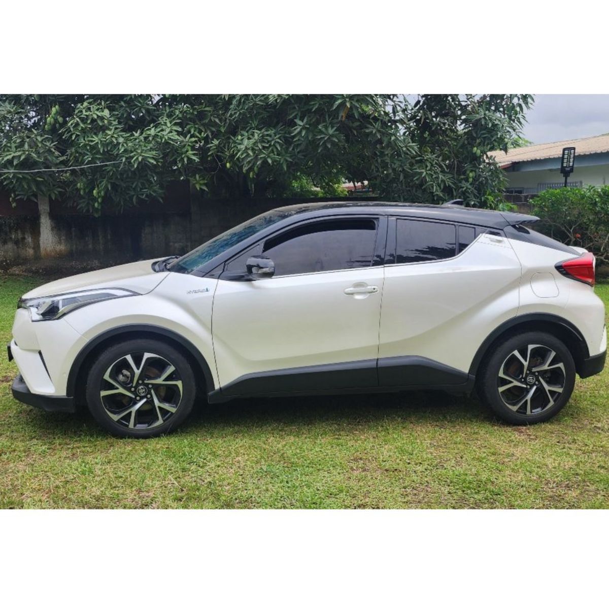 TOYOTA Chr 2019