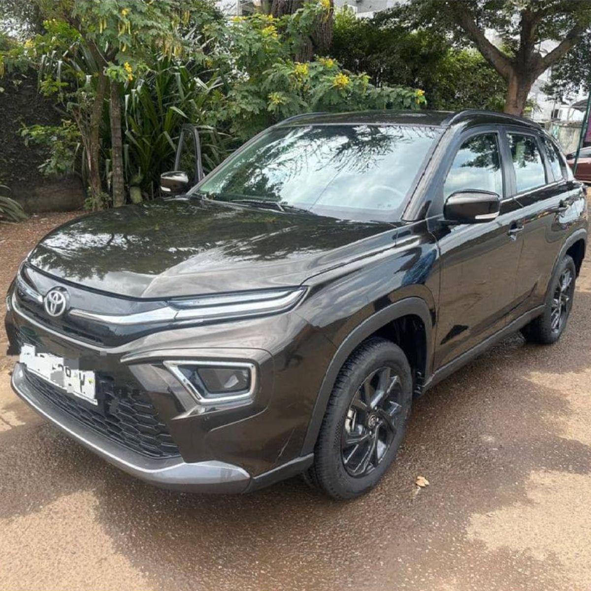 Toyota Urban Cruiser 2024