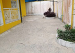 Villa de 2 chambres avec placards au Château